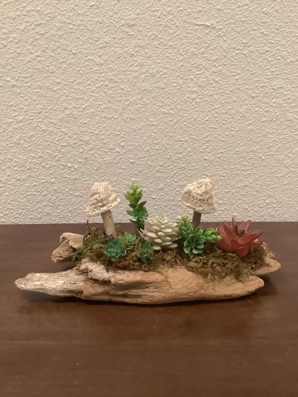 Driftwood Art, Driftwood & Faux Succulents, Seashell Mushroom Art, Coastal Art